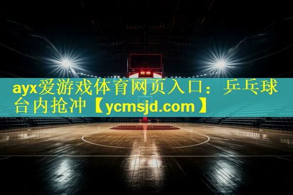 ayx爱游戏体育网页入口：乒乓球台内抢冲