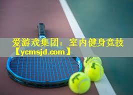 <strong>爱游戏集团：室内健身竞技</strong>