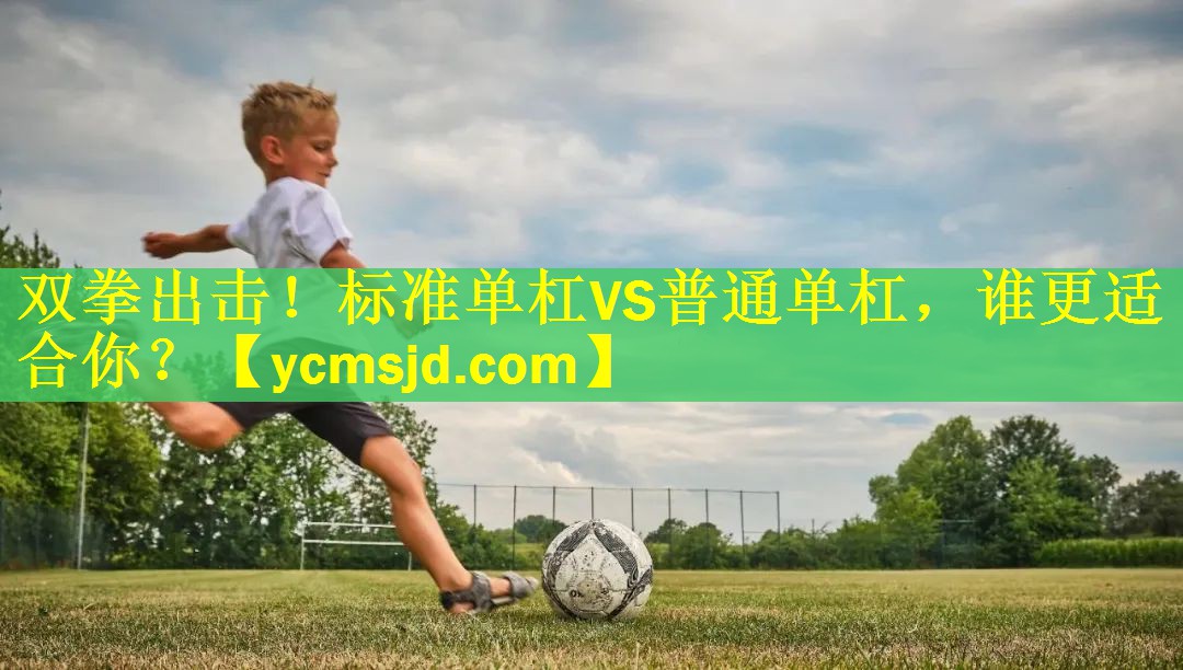 <strong>双拳出击！标准单杠VS普通单杠，谁更适合你？</strong>