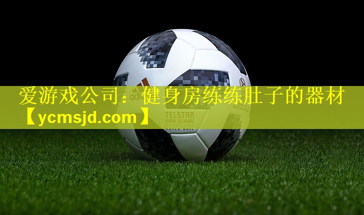 <strong>爱游戏公司：健身房练练肚子的器材</strong>