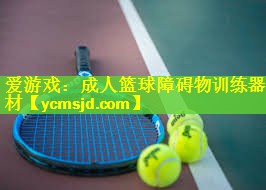 <strong>爱游戏：成人篮球障碍物训练器材</strong>
