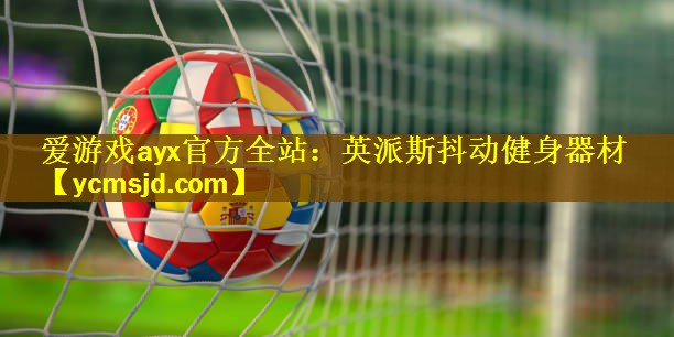 <strong>爱游戏ayx官方全站：英派斯抖动健身器材</strong>