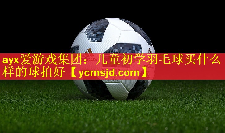 ayx爱游戏集团：儿童初学羽毛球买什么样的球拍好