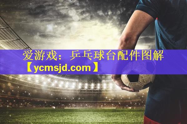 <strong>爱游戏：乒乓球台配件图解</strong>
