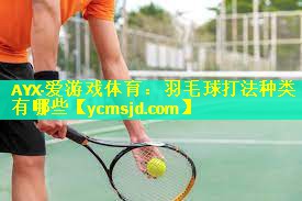 <strong>AYX·爱游戏体育：羽毛球打法种类有哪些</strong>