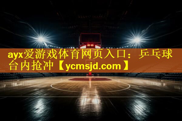 乒乓球台内抢冲