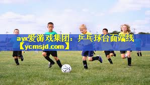 乒乓球台面端线