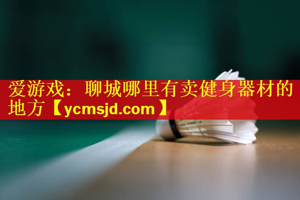 聊城哪里有卖健身器材的地方